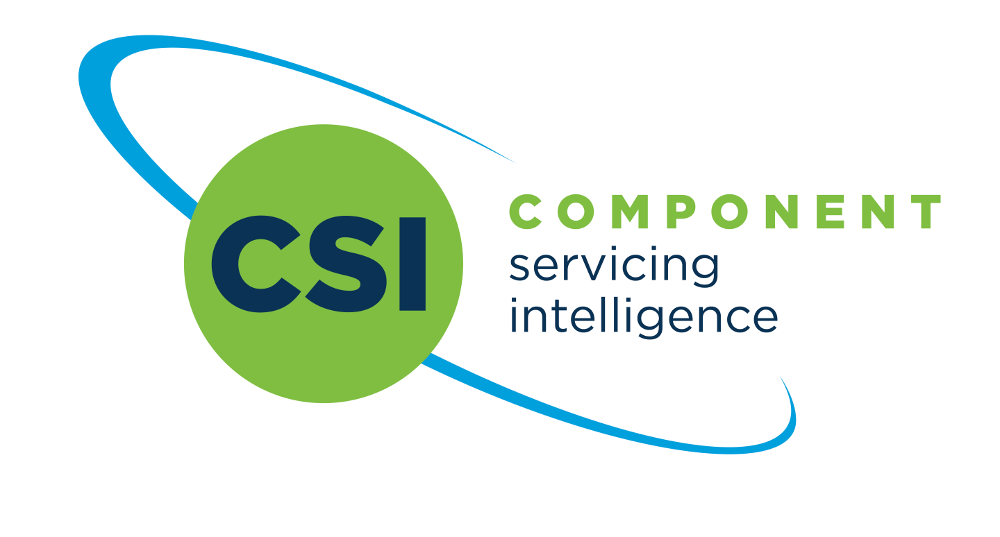 CSI Logo